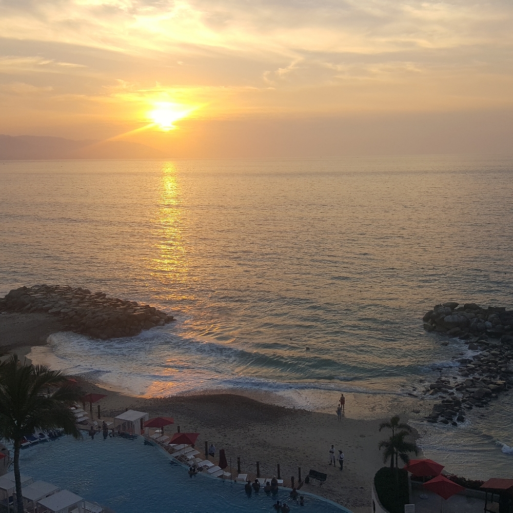 Meet your Posher, Anne